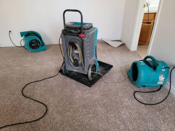 Best Carpet water damage restoration  in Imperial, NE