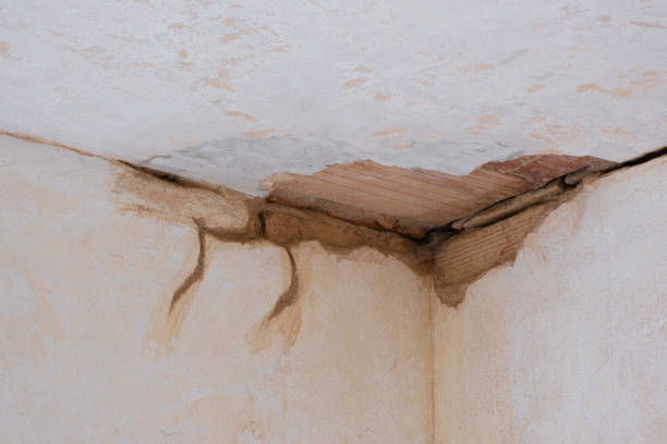 Best Water damage restoration near me  in Imperial, NE