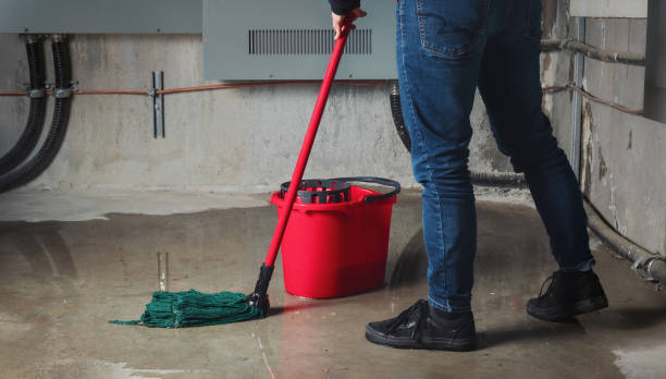 Best Commercial water damage restoration  in Imperial, NE