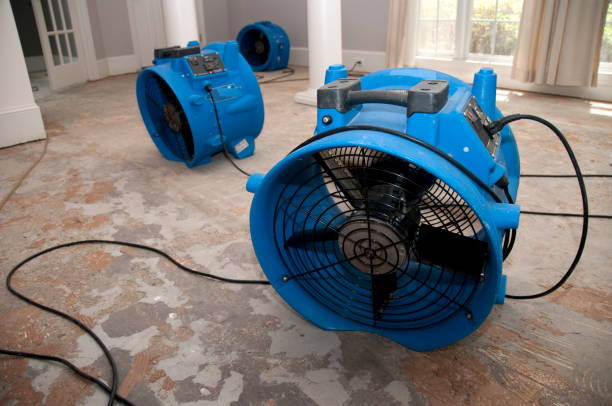 Reliable Imperial, NE Water damage restoration Solutions